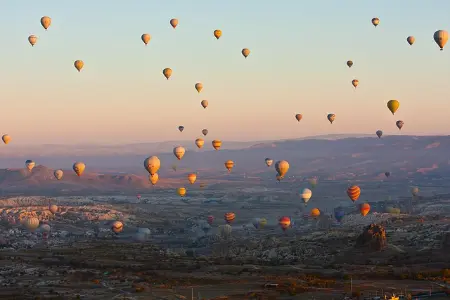 Typecho网站数据库，批量替换域名方法