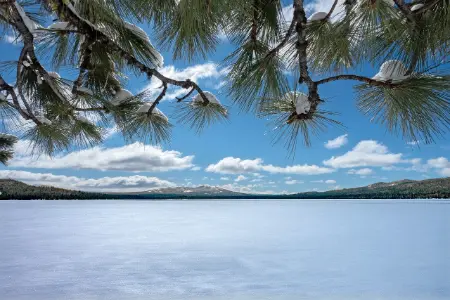 青袊之志·履践致远