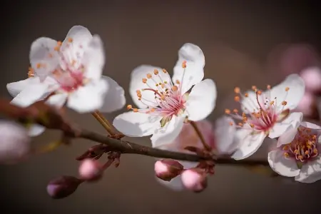 转：小孩发烧，来看看奶爸总结的要点