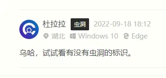 嘀咕虫洞 - 评论是否来自虫洞的另一端?